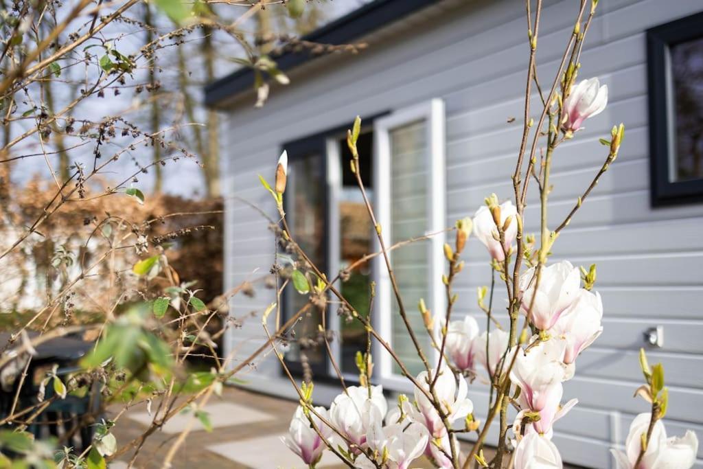 Gezellig Modern Chalet Midden Op De Veluwe Epe Kültér fotó